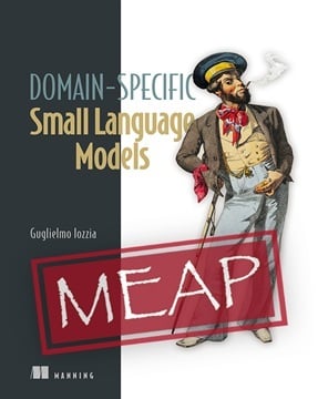 DomainSpecificSmallLanguageModels